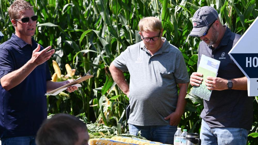 Beau Romsey field day